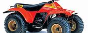 Suzuki 125 ATV Manual
