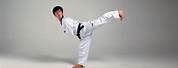 Taekwondo High Kick and Fall Down