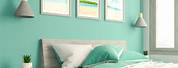 Teal Paint for Bedroom Walls