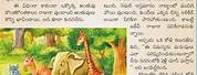 Telugu Story Books in Anilmoles