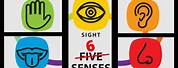 The 6th Sense Meaning
