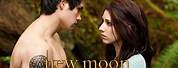 The Hillywood Show New Moon