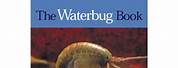 The Waterbug Human Book
