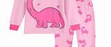 Toddler Girl Dinosaur Pajamas