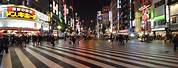 Tokyo Night Street View