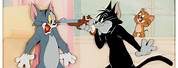 Tom and Jerry Butch Cat Art