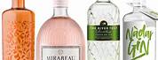 Top 10 Gin Brands