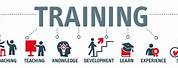 Training and Certification Red Banner