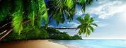 Tropical Beach 4K HDR Wallpaper