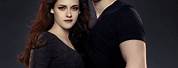 Twilight Breaking Dawn Part 2 Bella and Edward