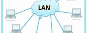 Types of Local Area Network
