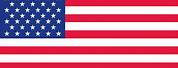 United States Flag Print Out