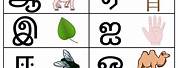 Vowels in Tamil Activity Worksheets