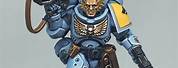 Warhammer 40K Space Wolves Painted