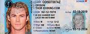 Washington Driver License ID Template Free