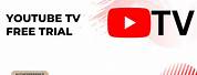 Watch Live TV YouTube Free Trial