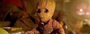 Which Is a Baby Groot From the Movie