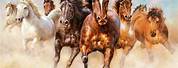 Wild Horses Running Free Paintings