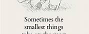 Winnie the Pooh Small Things Quotes