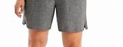 Women's Cotton Jersey Shorts