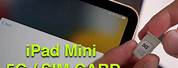 iPad Mini 6 Sim Card Slot