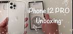 iPhone 12 Pro Silver Unboxing