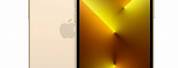 iPhone 13 Pro Gold Transparent