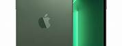 iPhone 13 Pro Max Skin Green