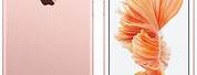 iPhone 6s Rose Gold Front and Back