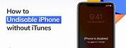 iTunes Undisable iPhone