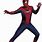 Marvel Spider-Man Costumes