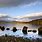 View Loch Lomond