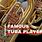 Famous Tuba Players Book