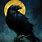 Dark Art Crow
