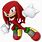 A Picture of Knuckles From Sonic