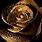 Black Rose with Gold