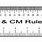 Ruler in mm Actual Size