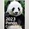 2023 Chinese Panda Calendar