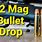 22 Magnum Bullet Drop