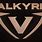 224 Valkyrie Logo