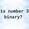 31 in Binary