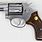 38 Special Handgun Revolver