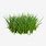 3D Grass Image