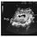9 Week Ultrasound Boy