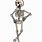 A Cartoon Skeleton