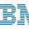 About IBM Company