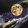 Acrylic Painting Mystical Moon