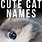 Adorable Cat Names