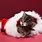 Adorable Christmas Kittens