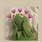Aesthetic Funny Wallpaper Kermit